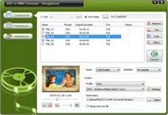 Oposoft DVD To WMV Converter screenshot